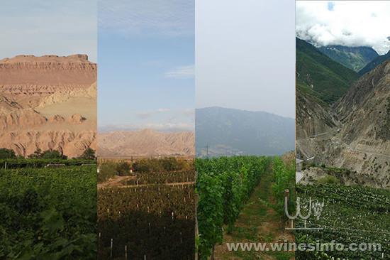 134622_chinese-wine-regions-guide-xinjiang-ningxia-shandong-yunnan.jpg