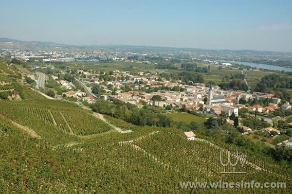 Photo-8-bis-Mauves-sur-Rhone-le-berceau-du-Saint-Joseph.jpg