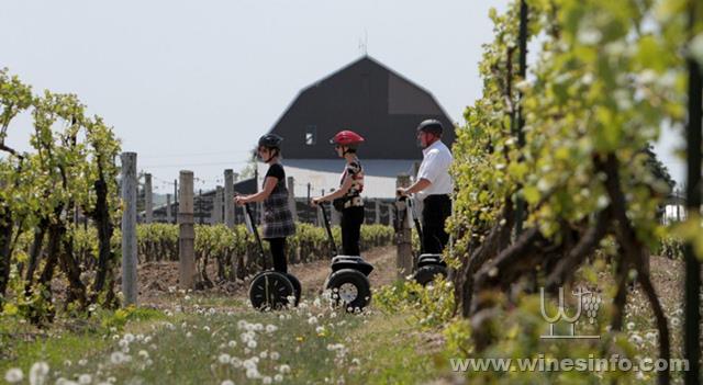 segway_wine_tour.jpg.size.custom.crop.1086x596.jpg