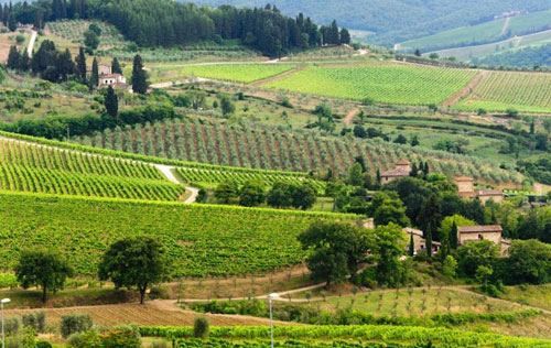 意大利经典基安蒂产区(Chianti
