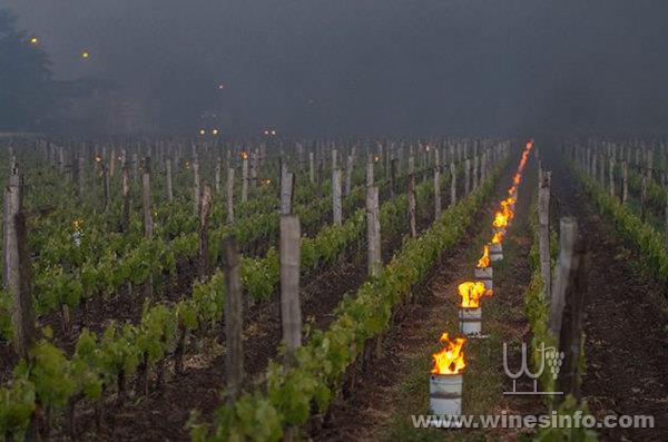 frost-fires-st-emilion-cephas-1237801-630x417.jpg