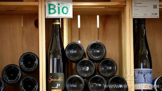 file-photo--organic-wines-for-sales-are-seen-in-a-wine-rack-at-moevenpick-weinkeller-wine-shop-in-berlin-3.jpg