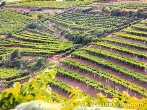 soave-mga-apertura-654x491.jpg