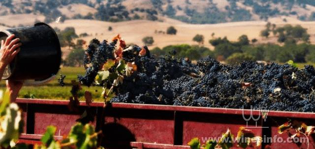 BAROSSA-IMAGE-640x303.jpg