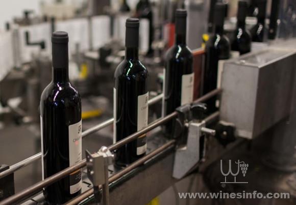 chile_vintage_Cortahojas_chilean-wines.jpg