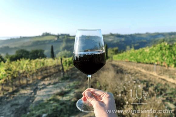 chile-wine-country-1.jpg